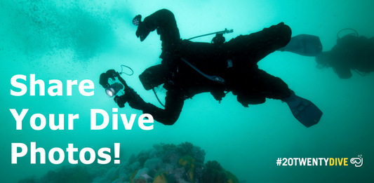 Vancouver Divers: Share Your Dive Photos With Us!